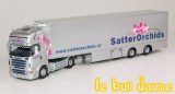 R topline