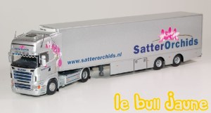 R topline