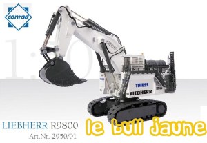 LIEBHERR R9800 THIESS