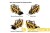 CATERPILLAR 259D chargeur