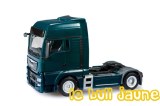 MAN TGX bleu vert