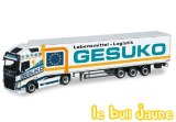 VOLVO FH Gesuko
