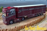 SCANIA S Joachim Nisch 