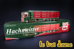 SCANIA S Hachmeister