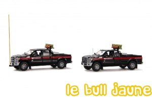 FORD F 250 MAMMOET