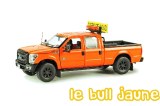 FORD F250 pick up double cabine