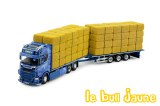 SCANIA S Corbetts