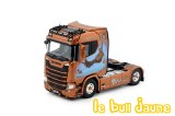 SCANIA S Transports Furtmeier