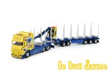 SCANIA R Svenke