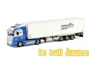 SCANIA R Angretia Co Ltd