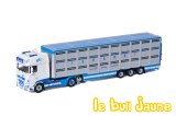DAF XF Isoardi