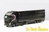 VOLVO FH04 Lunteren