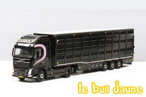 VOLVO FH04 Lunteren