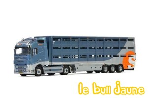 VOLVO FH04 Schuttert